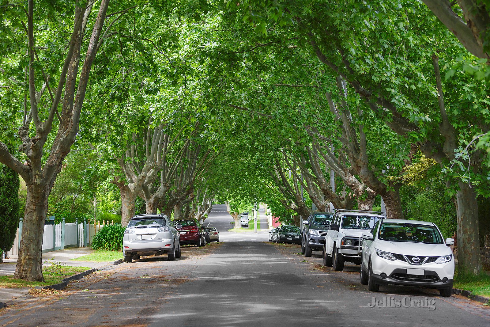 41 Broomfield Avenue, Alphington image 1