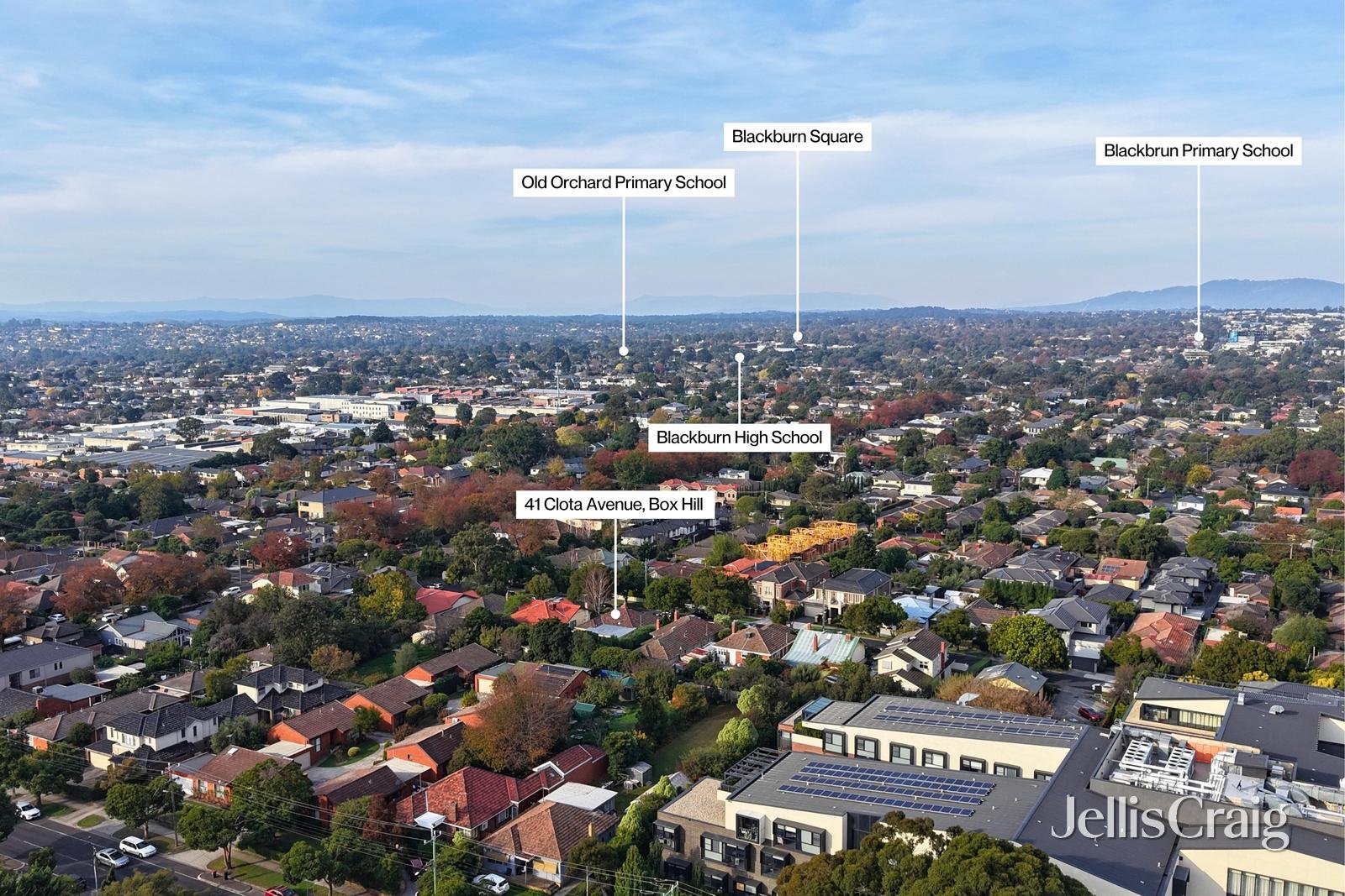 41 Clota Avenue, Box&nbsp;Hill image 7