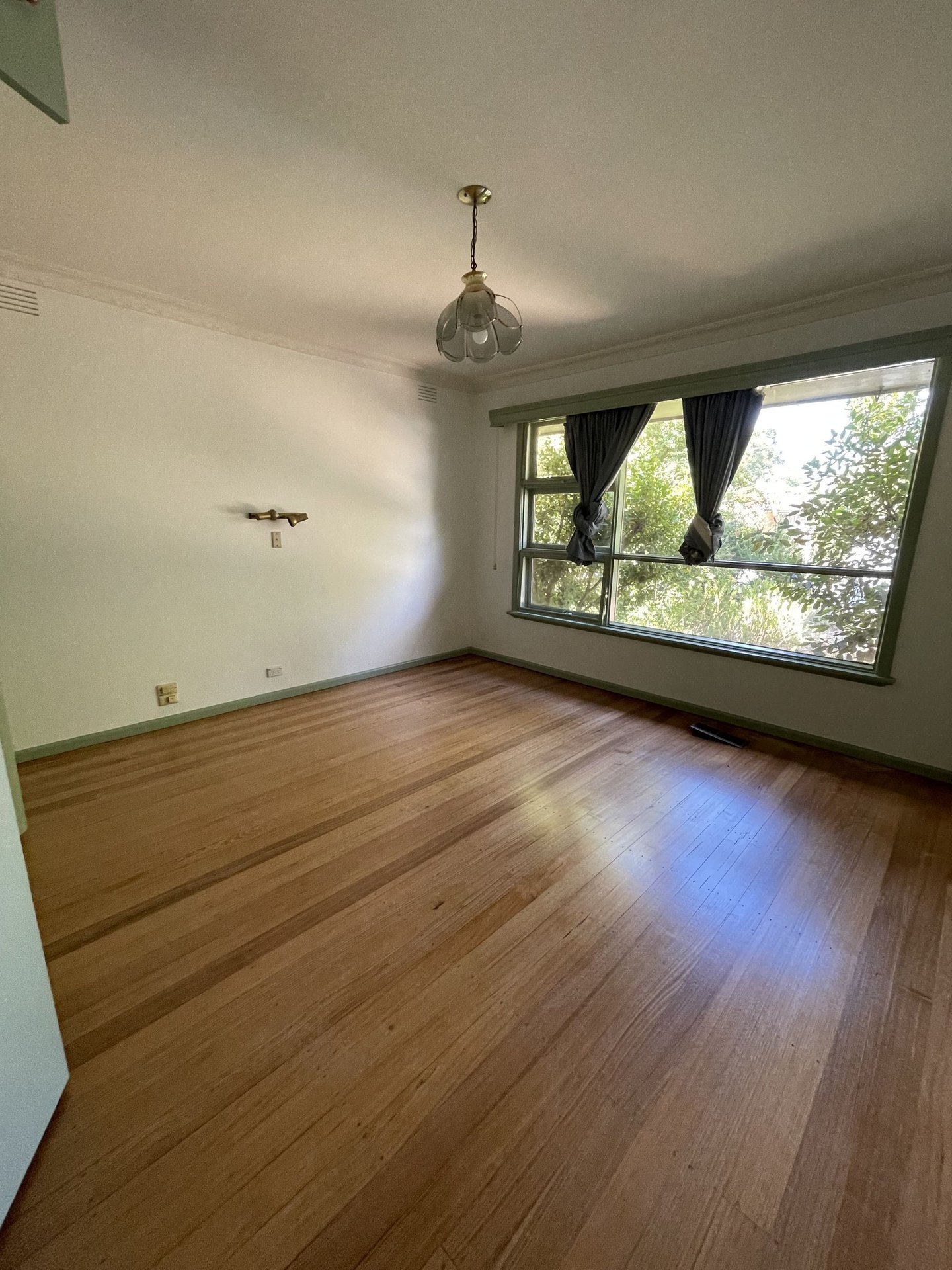 41 Cypress Avenue, Glen&nbsp;Waverley image 6