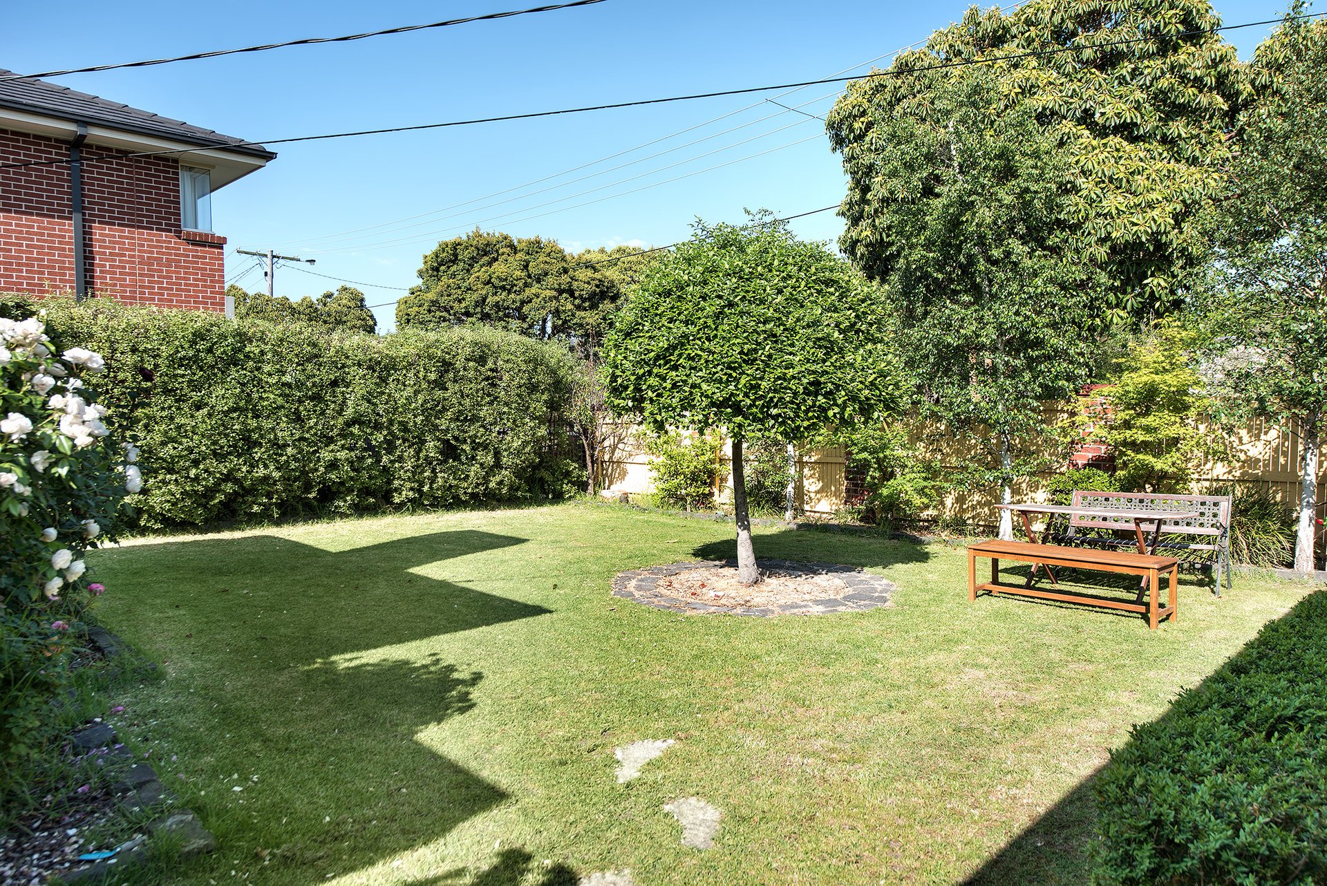 41 Francis Street, Blackburn image 3