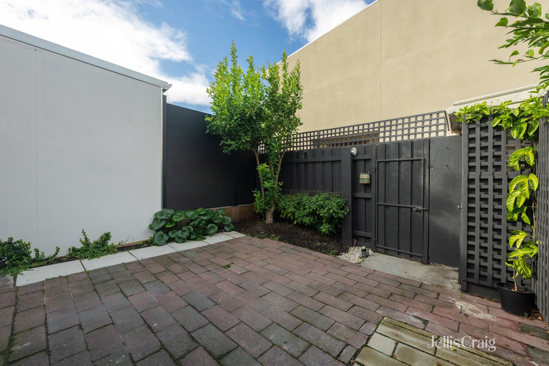 41 Hodgkinson Street, Clifton&nbsp;Hill image 10
