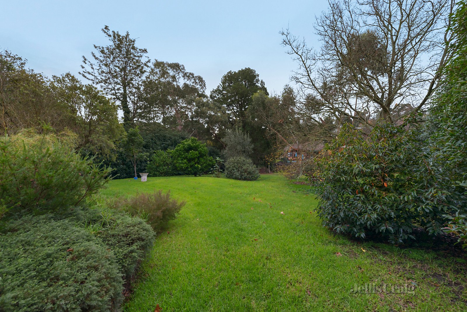 41 Pine Road, Mooroolbark image 11