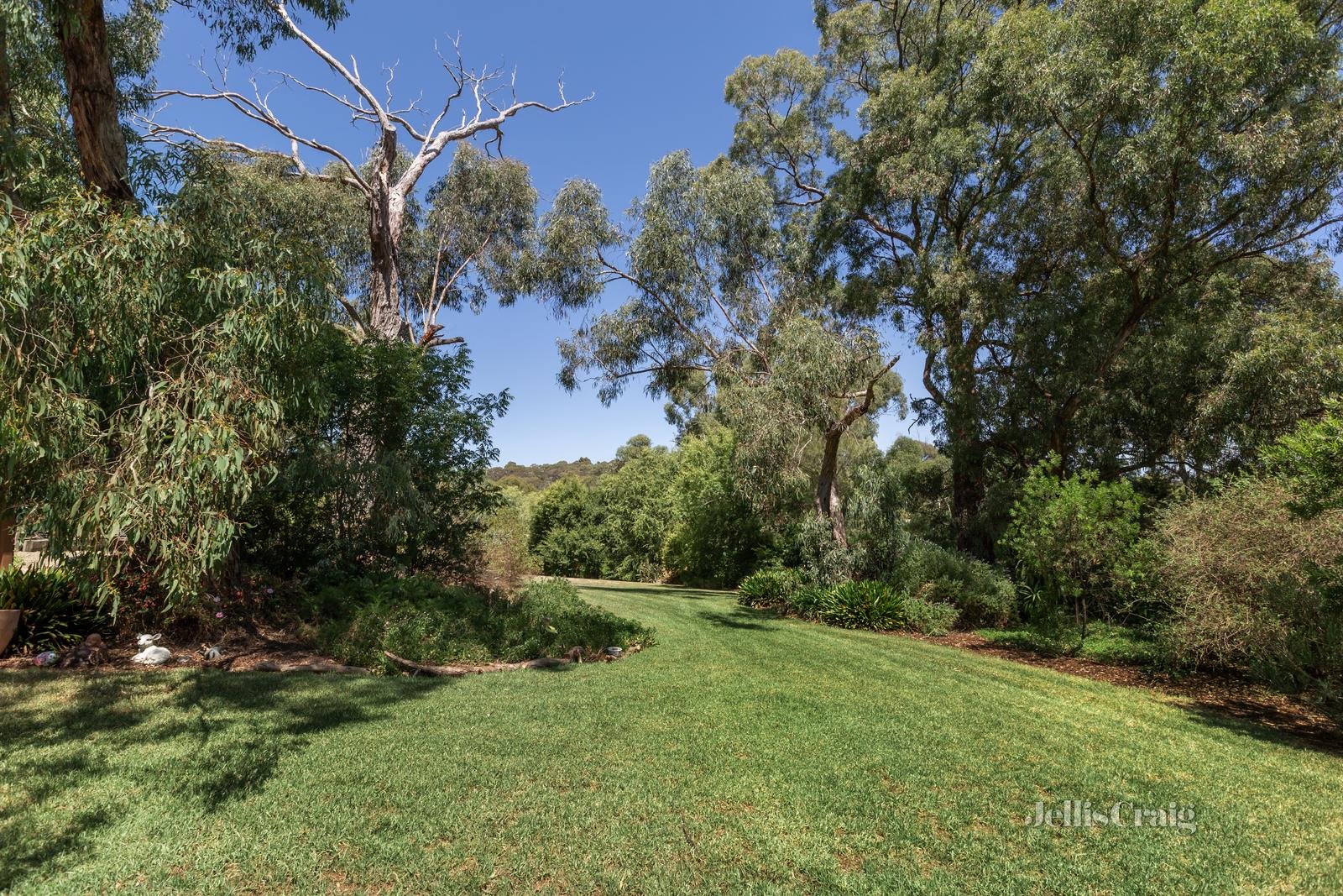 41 Rainbow Valley Road, Park Orchards image 17