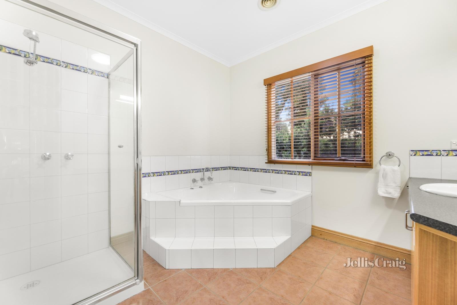 41 Richardson Road, Croydon North image 8