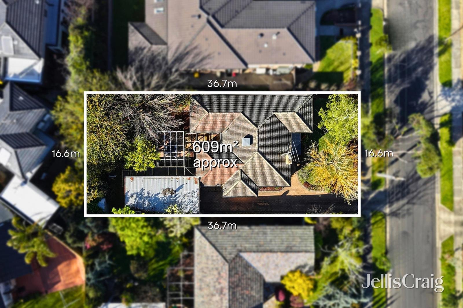 41 Samuel Road, Blackburn&nbsp;South image 14