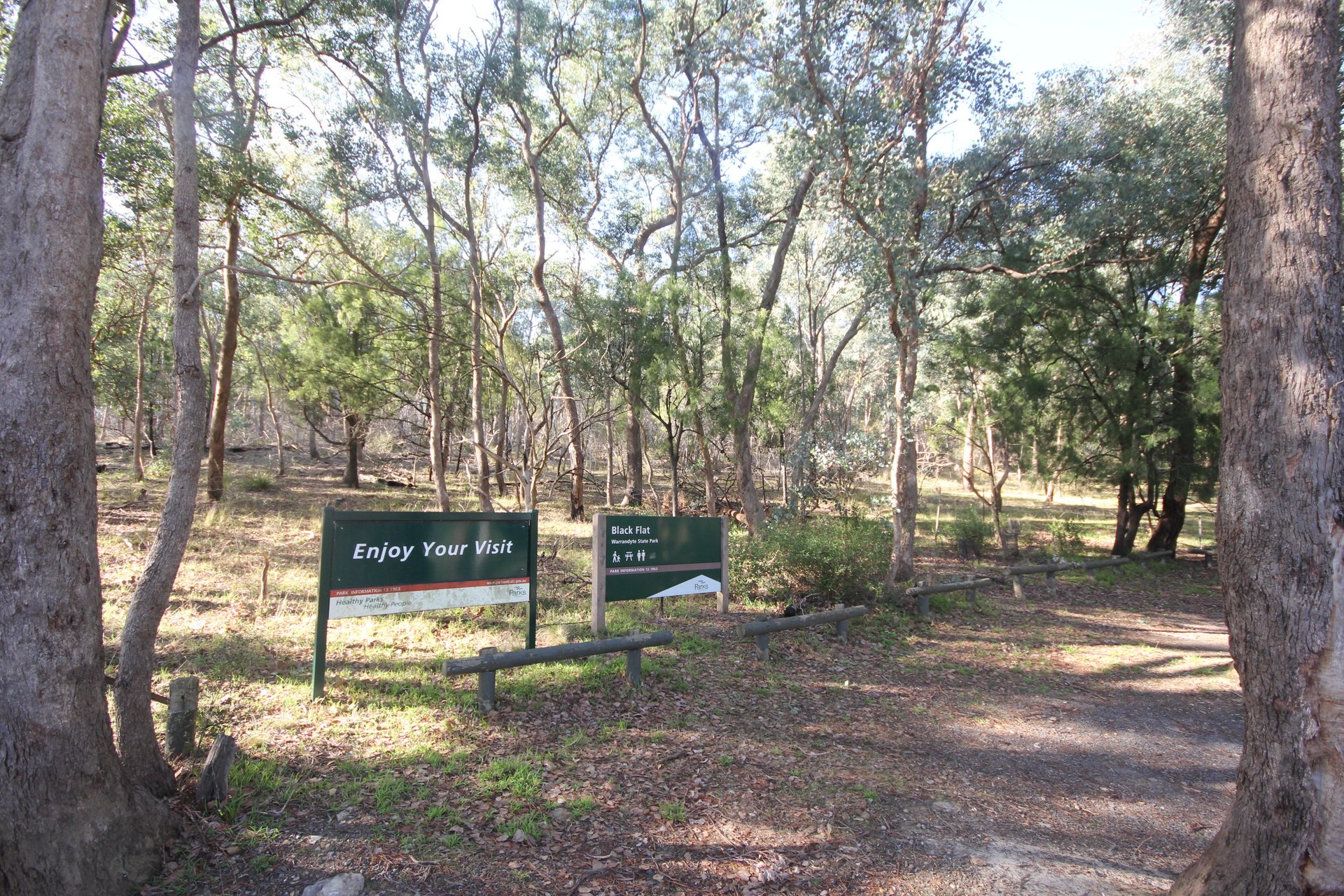 41 Tills Drive, Warrandyte
- Print Image 1