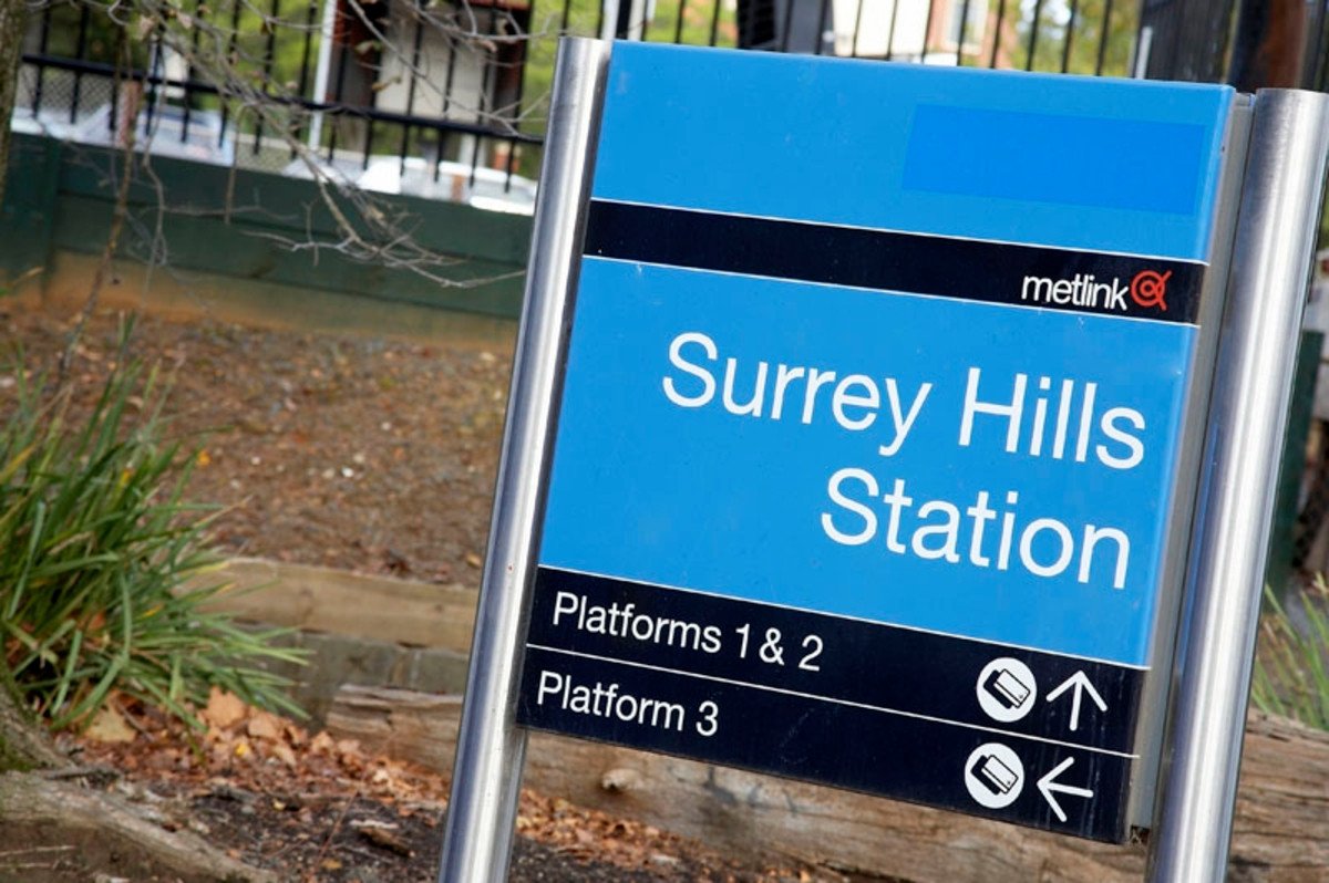 41 Weybridge Street, Surrey Hills image 6