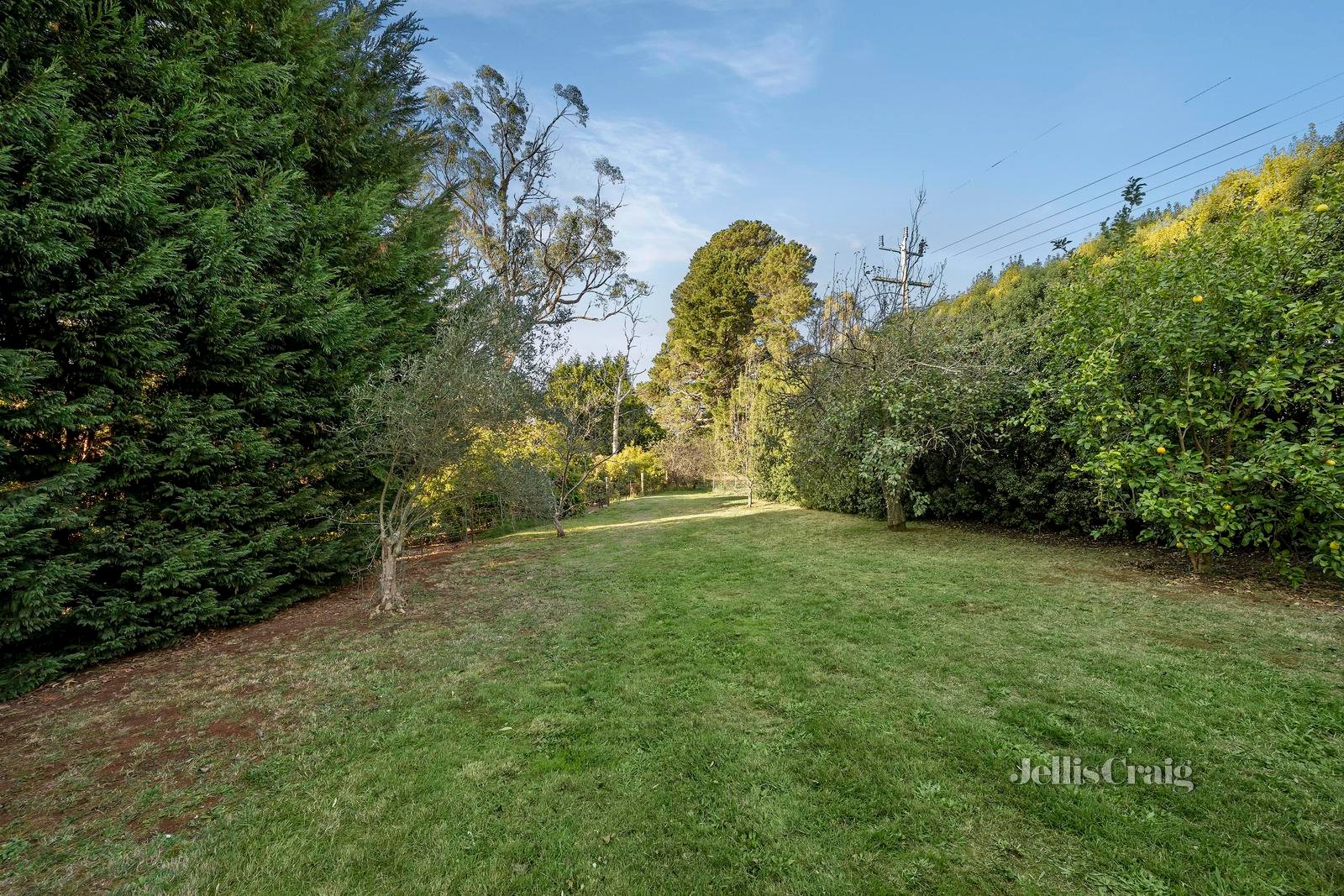 41 Wiseman Road, Silvan image 18