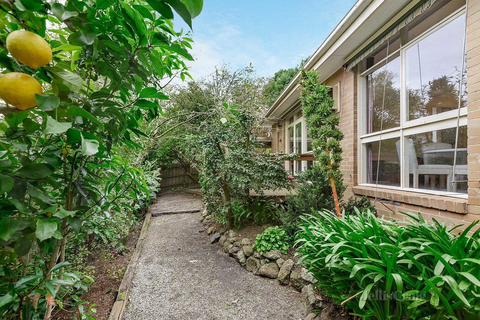 4/11 Allambee Avenue, Camberwell image 5