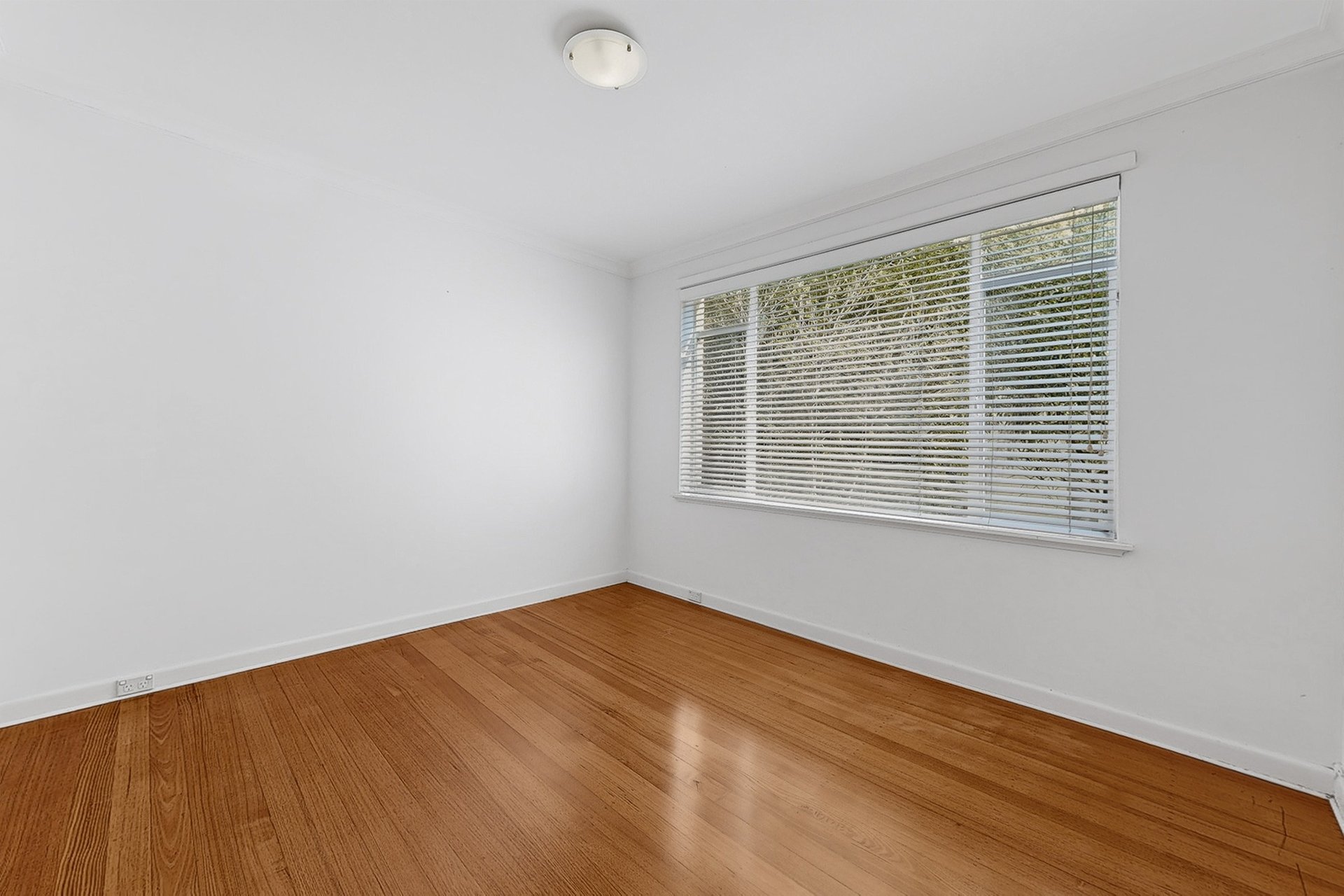 4/11A Milton Street, Elwood image 6