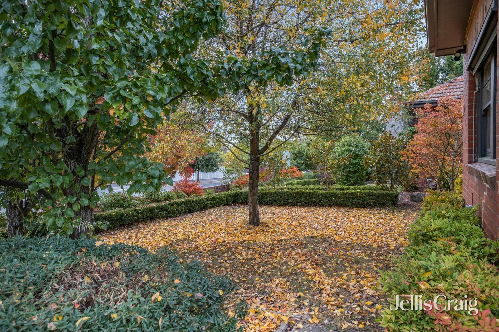 412 Lydiard Street North, Soldiers&nbsp;Hill image 14