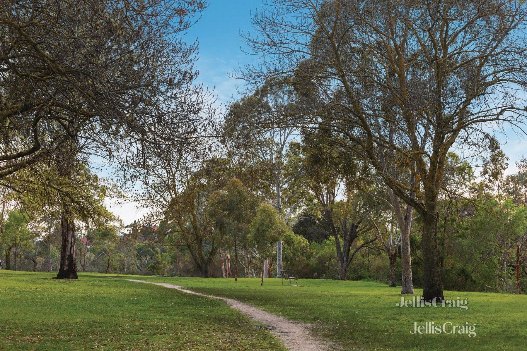 4/14 The Esplanade, Clifton&nbsp;Hill image 8