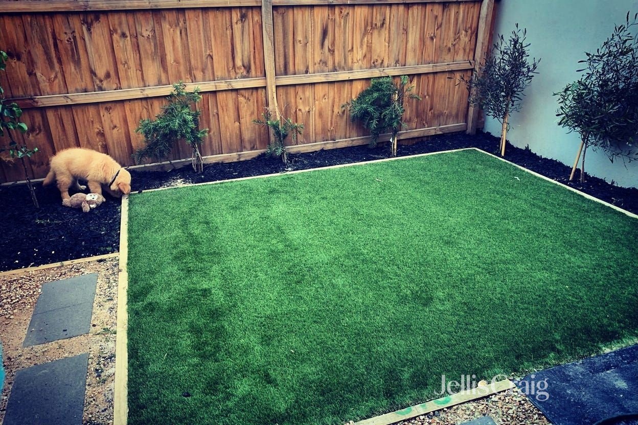 4/15 Cypress Avenue, Brooklyn image 6