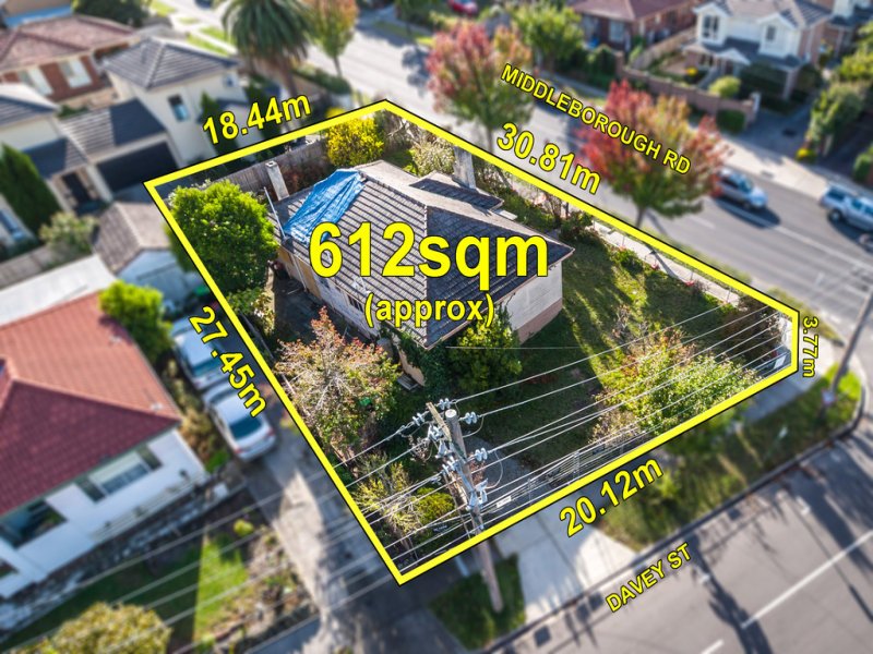 419 Middleborough Road, Box Hill image 2