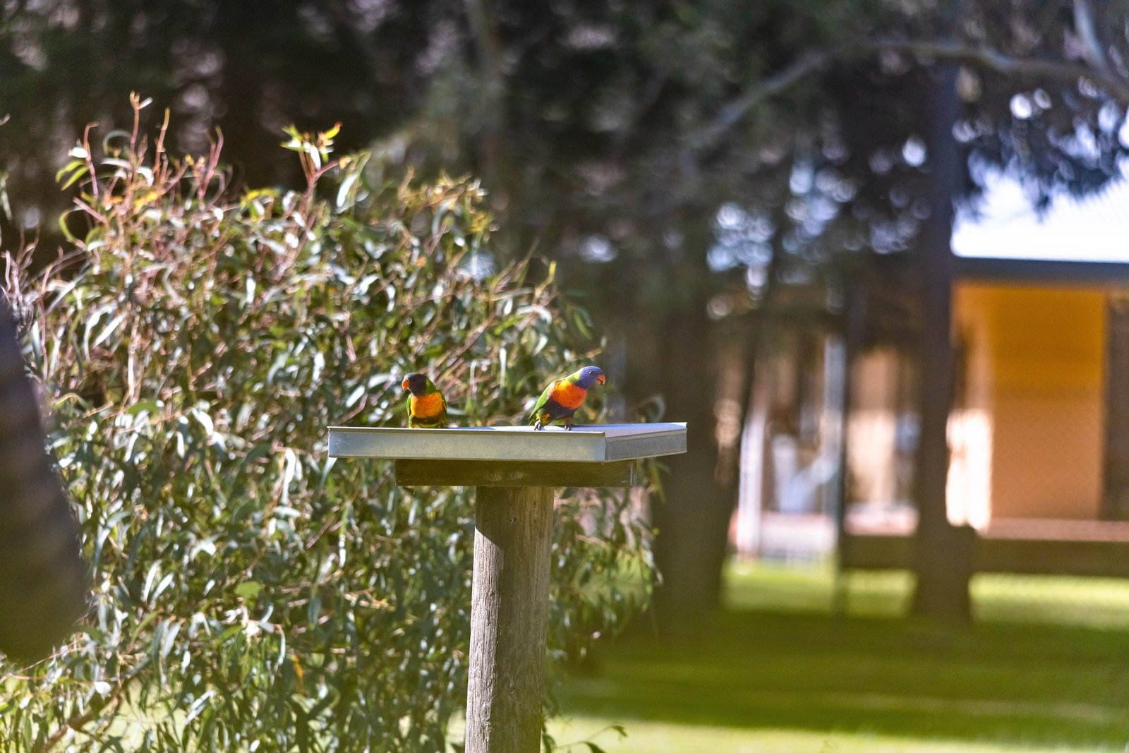 Property Gallery Thumbnail 23