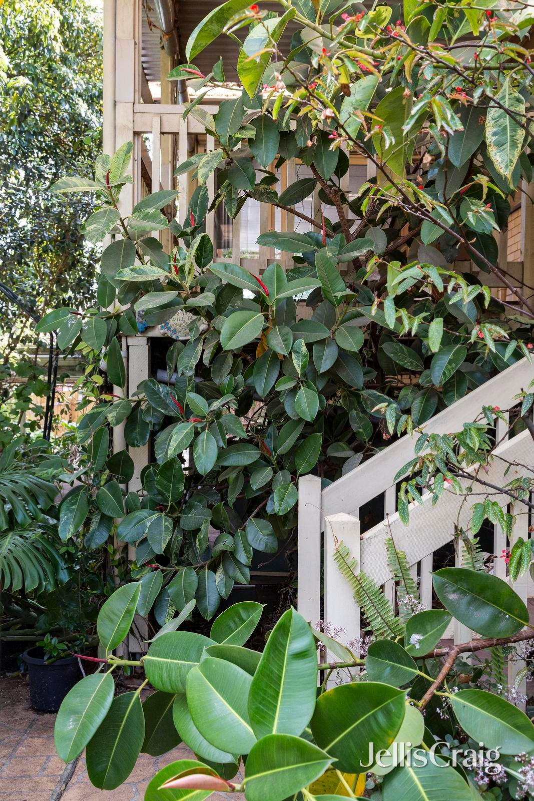 42 Alma Street, Lower Plenty image 16