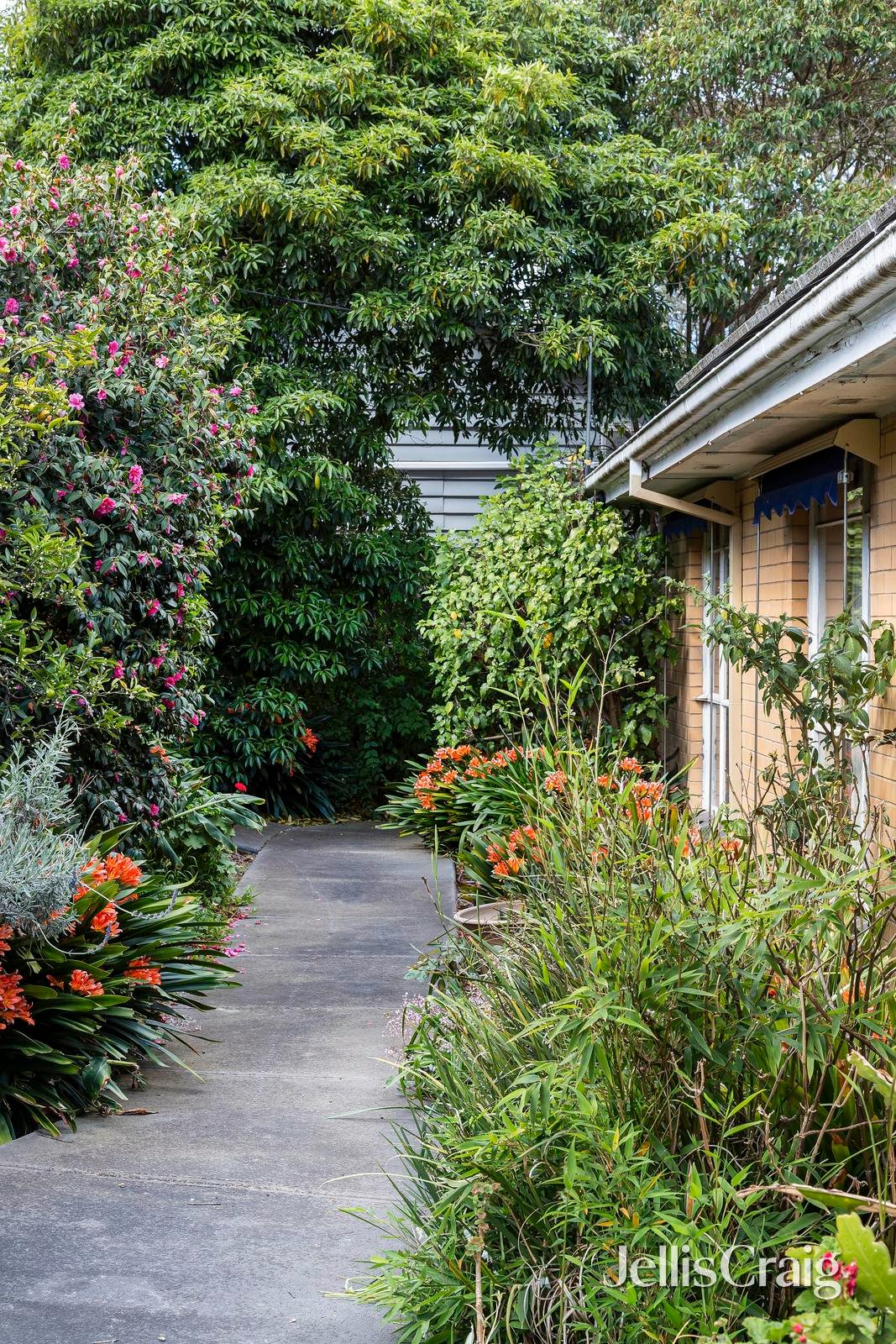 42 Alma Street, Lower Plenty image 19