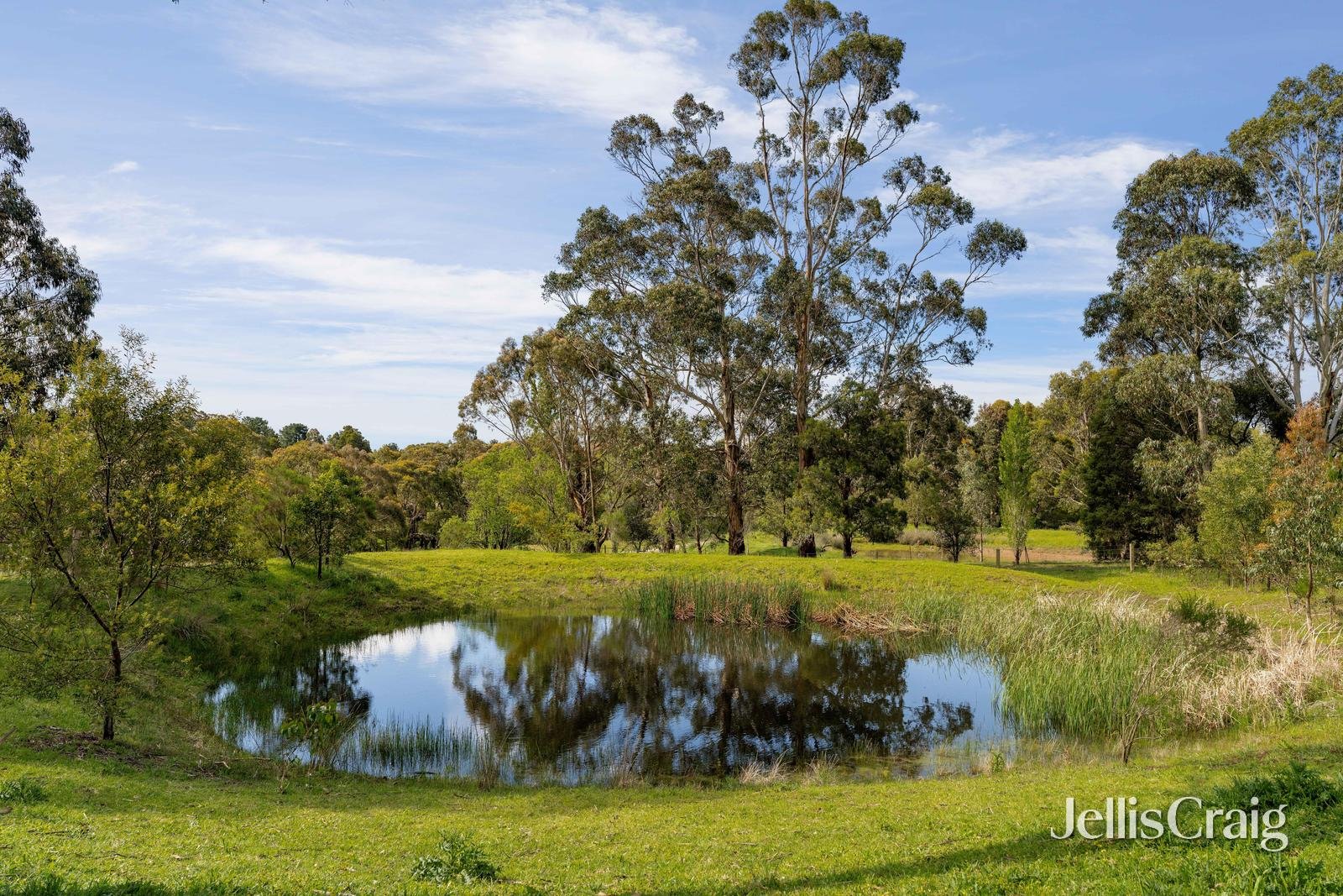 42 Bell Avenue, Mount Helen image 35