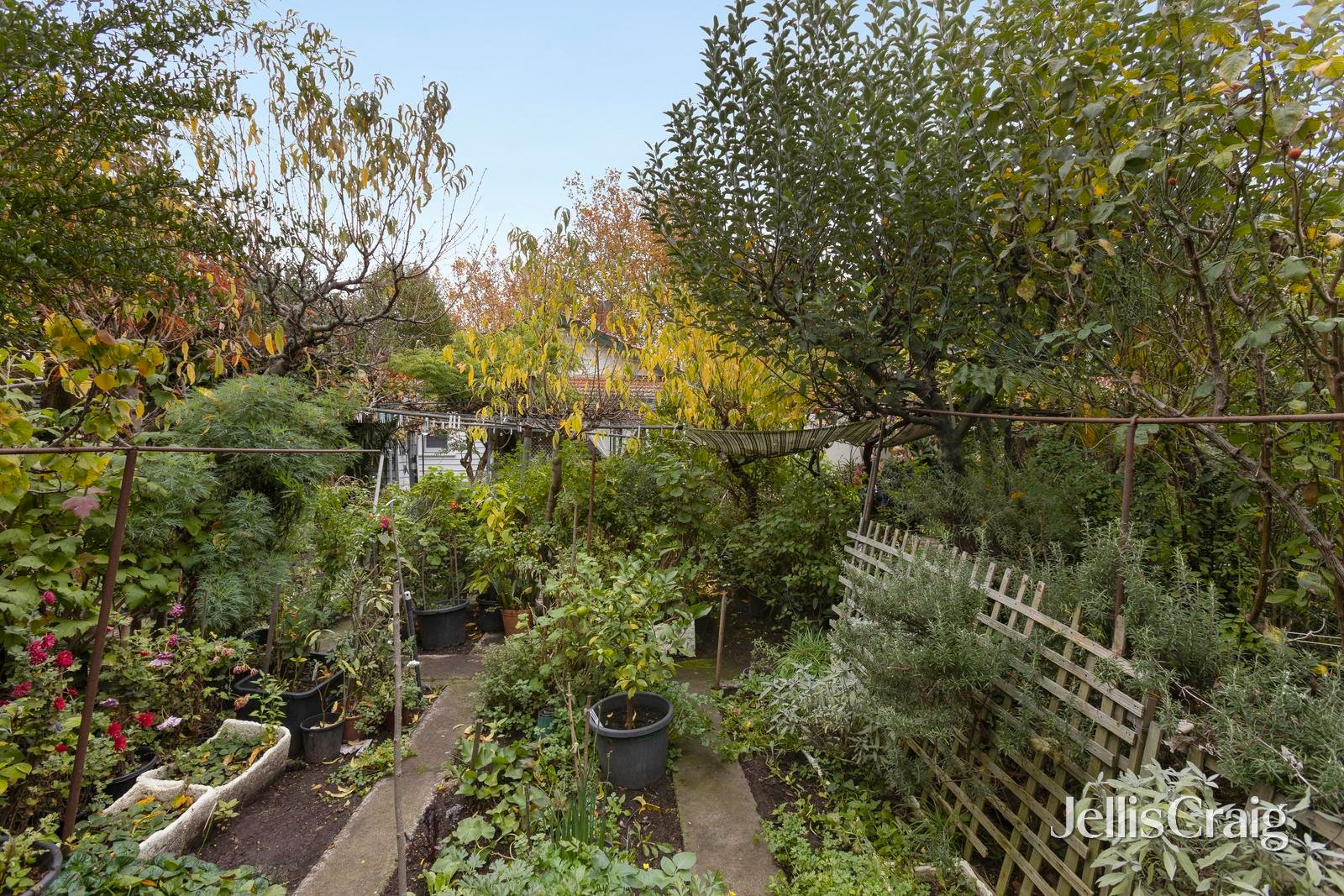 42 Naroon Road, Alphington image 6