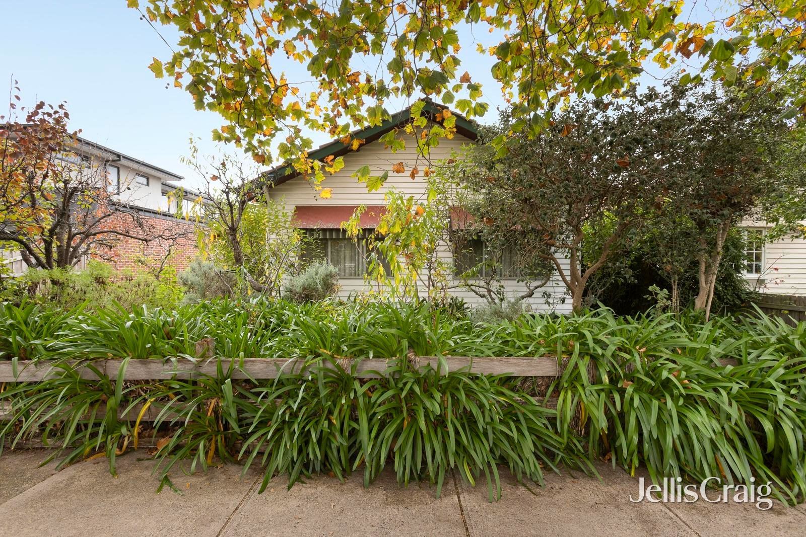 42 Naroon Road, Alphington image 11