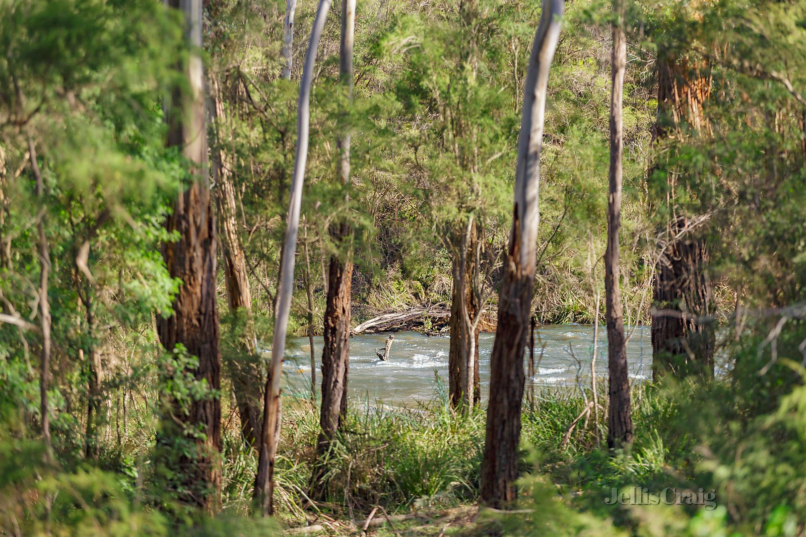 42 Osborne Road, North Warrandyte image 3