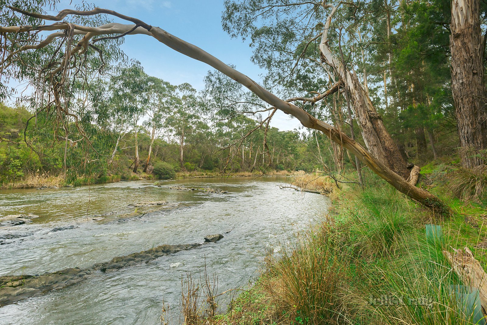 42 Osborne Road, North Warrandyte image 17