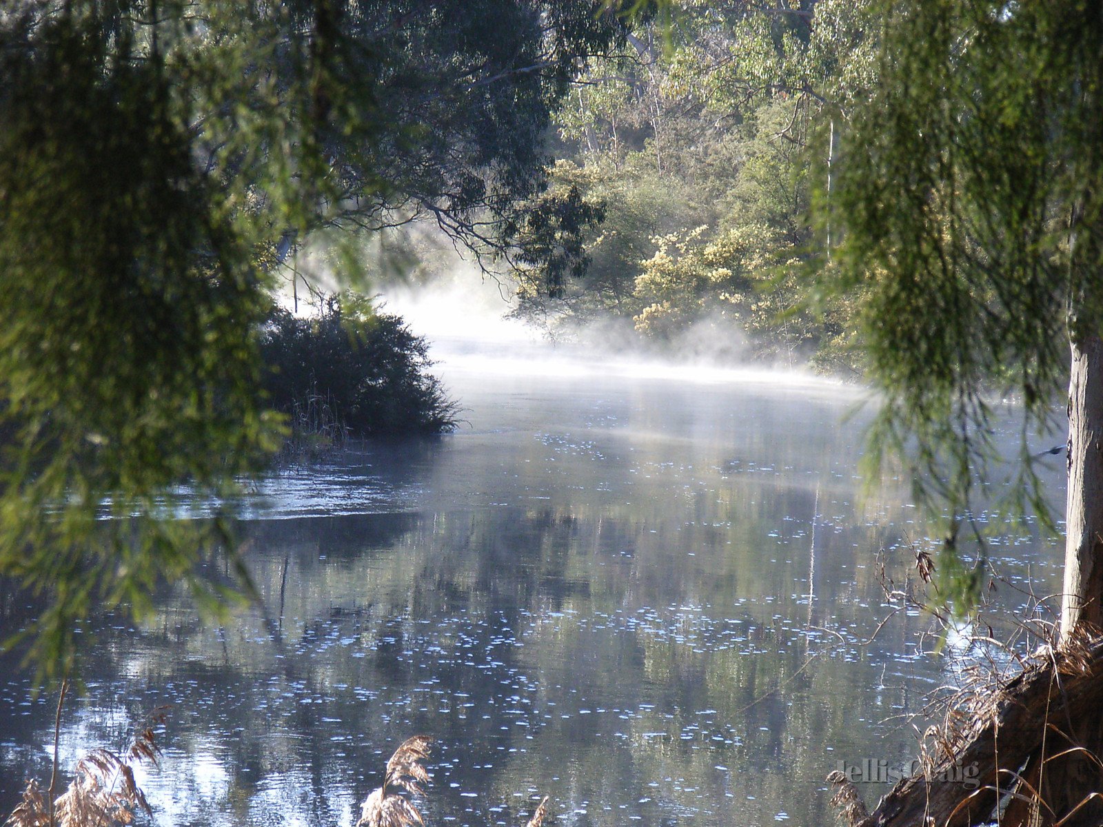 42 Osborne Road, North Warrandyte image 19