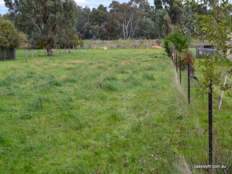 42 Panmure Street, Newstead image 3
