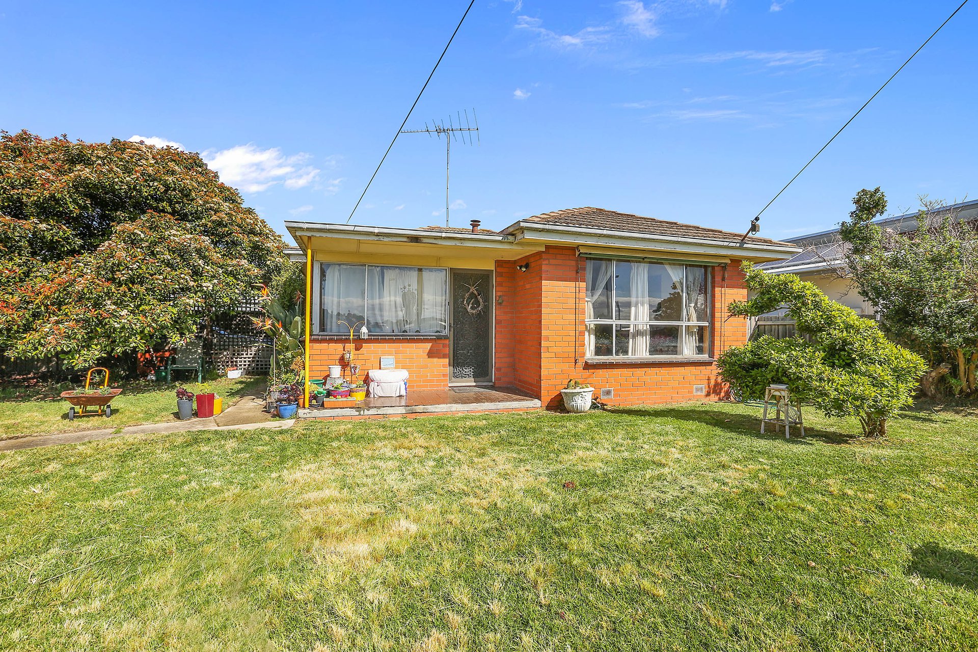 42 Richmond Crescent, Geelong image 1