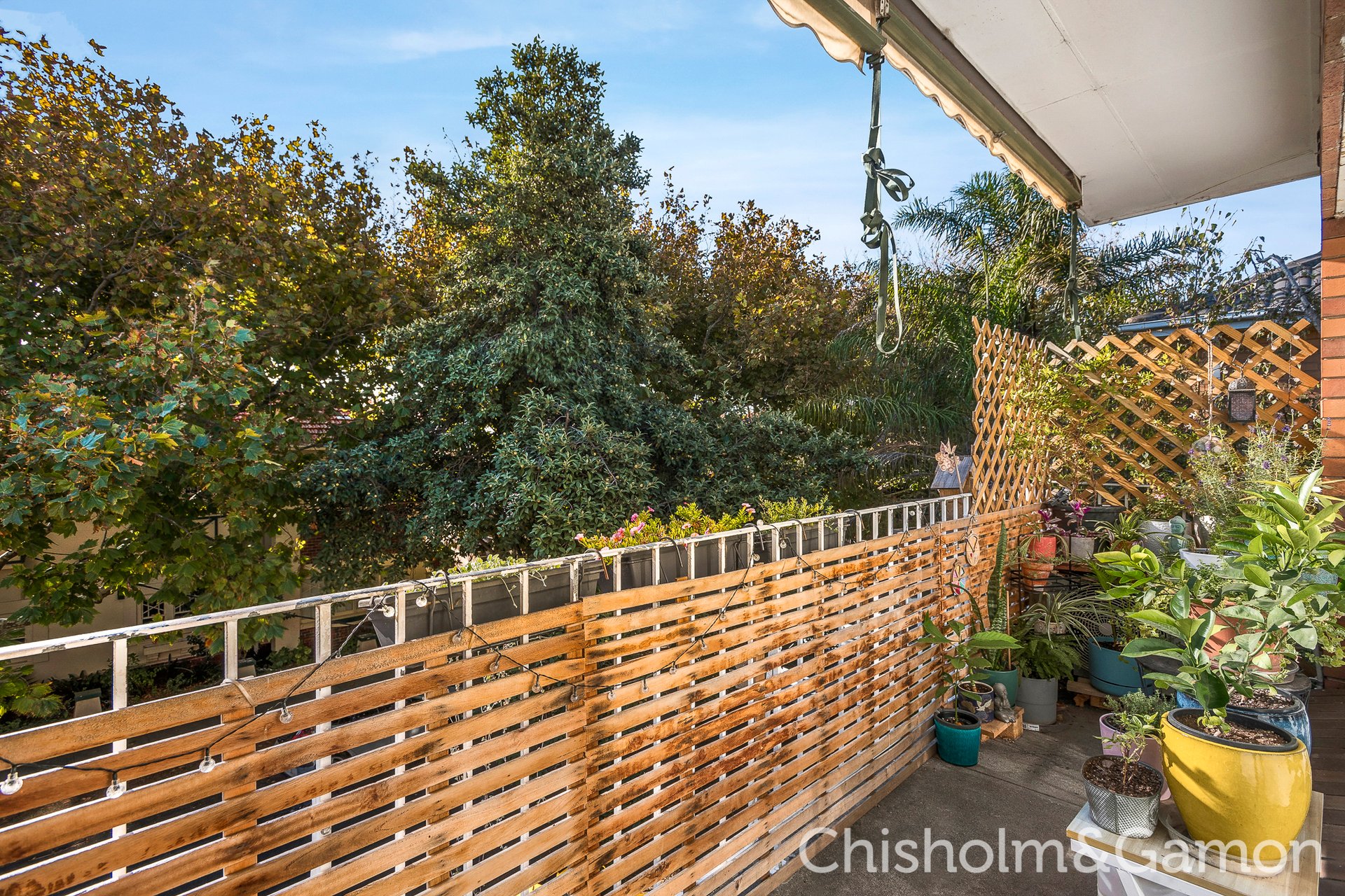 4/21-23 Tiuna Grove, Elwood image 1