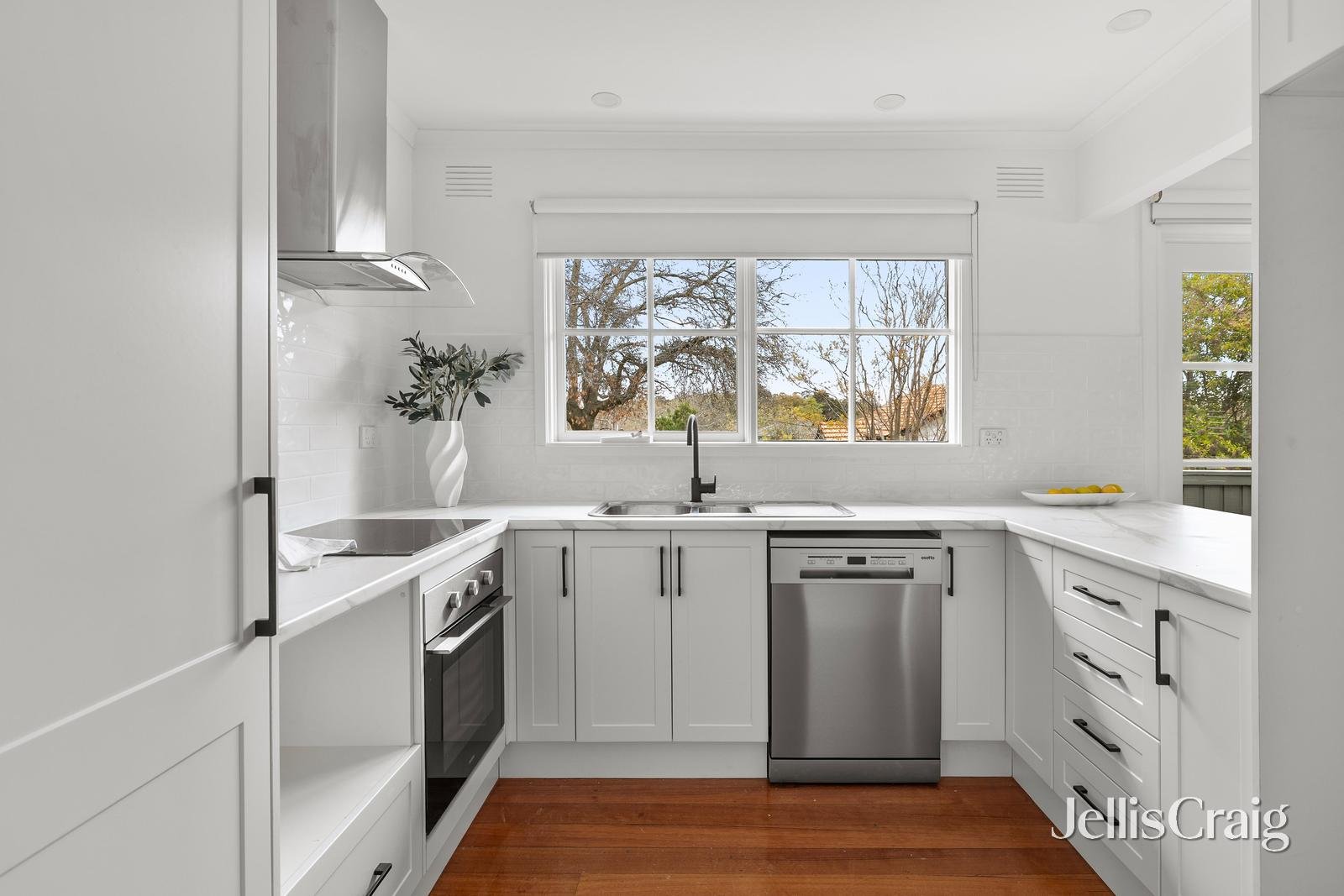 4/24 Shepherd Street, Surrey Hills image 5