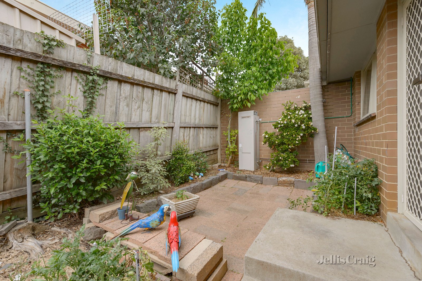 4/27 High Road, Camberwell image 5