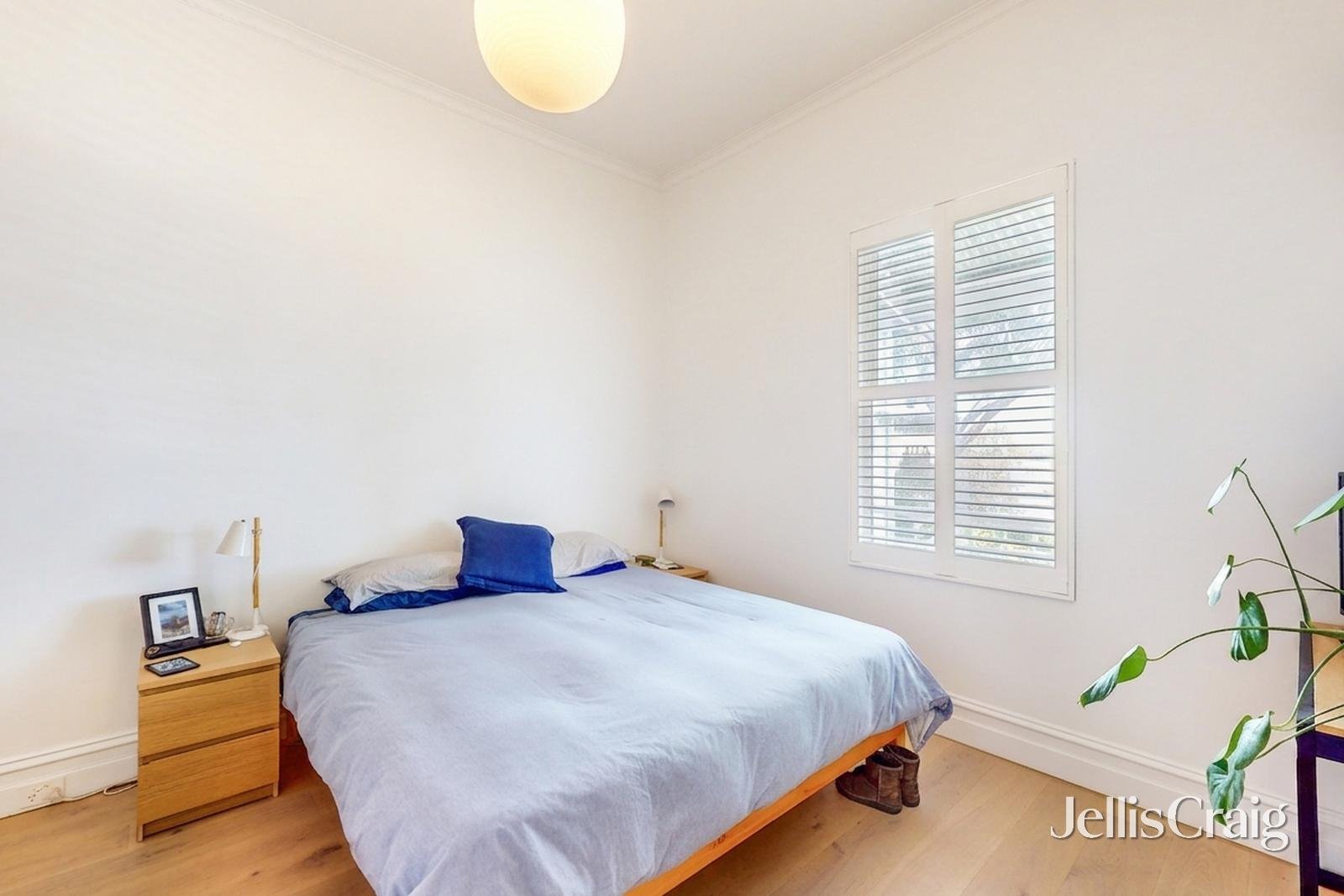 428 Arden Street, Kensington image 6