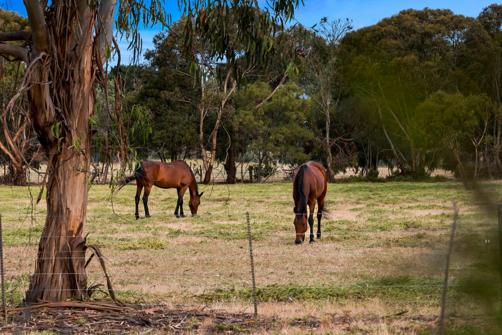 Property Gallery Thumbnail 13