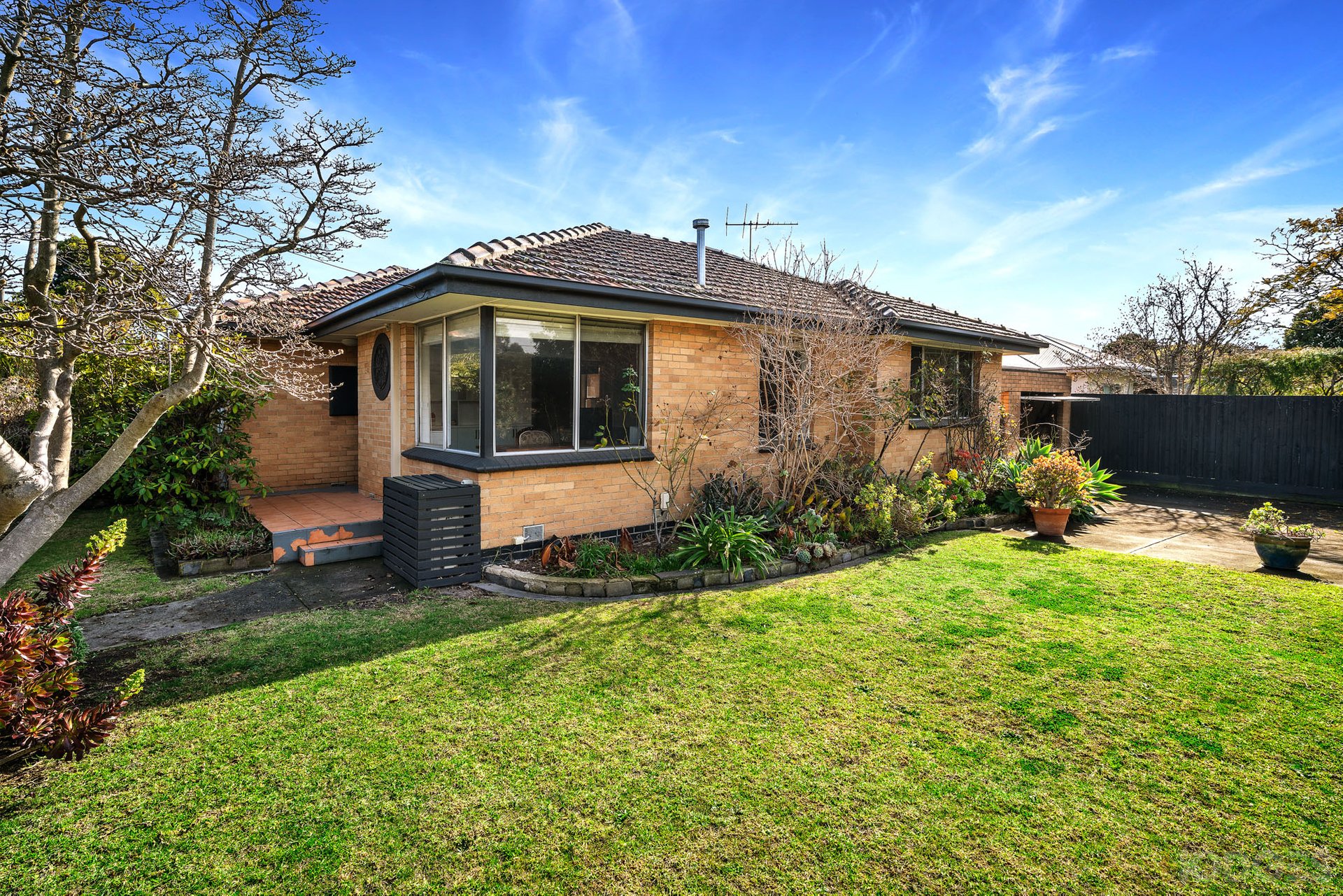 43 Alfred Street Beaumaris