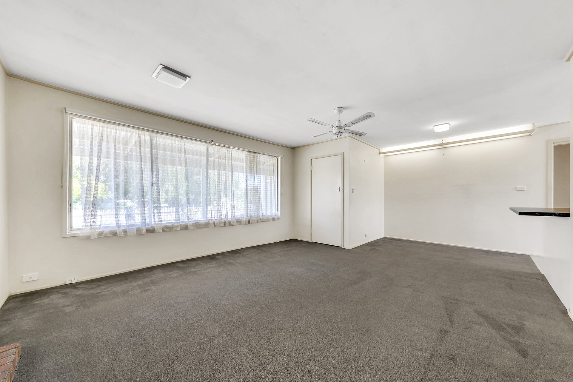 43 Andrew Street, Newcomb image 4