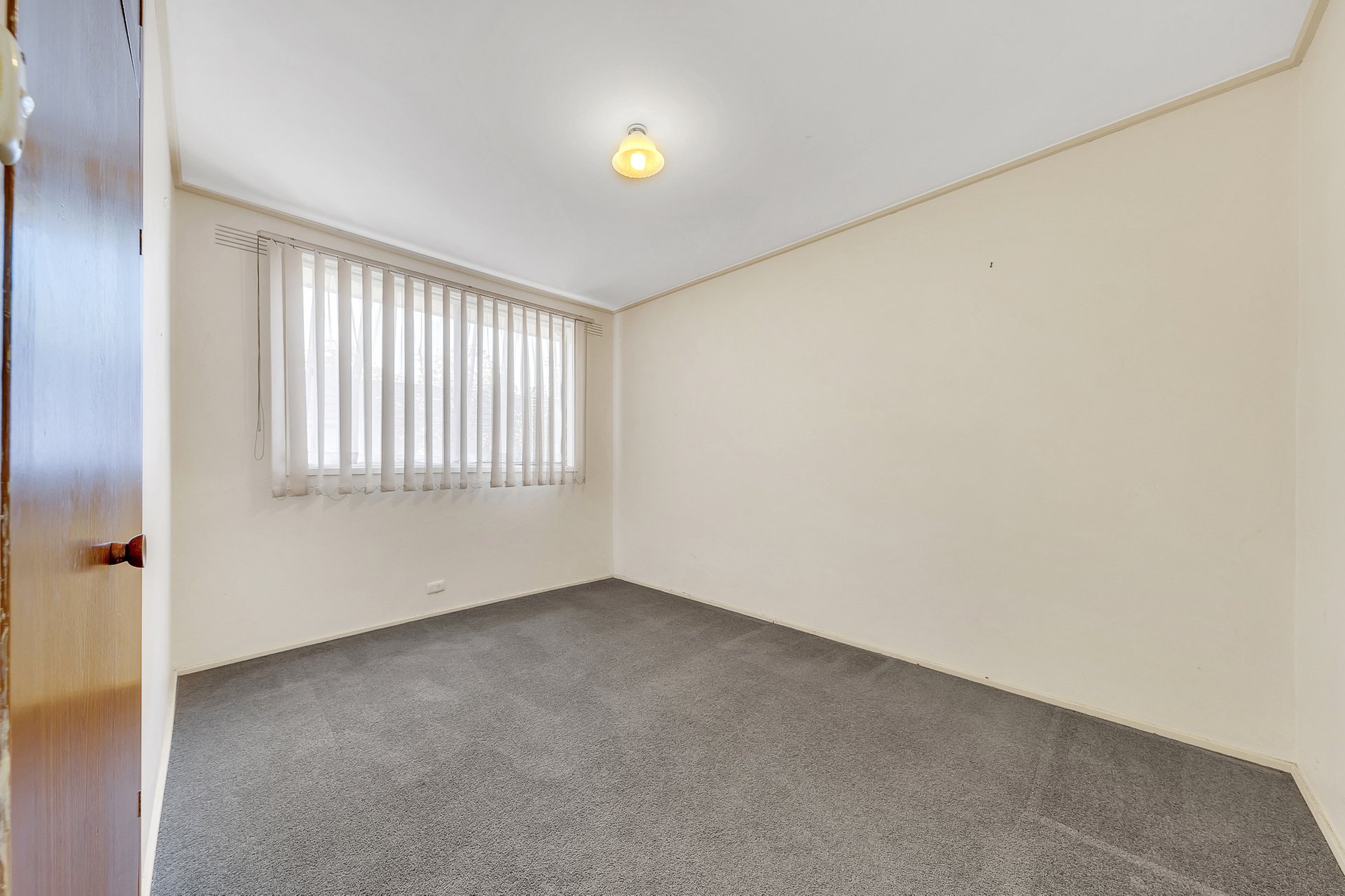 43 Andrew Street, Newcomb image 9