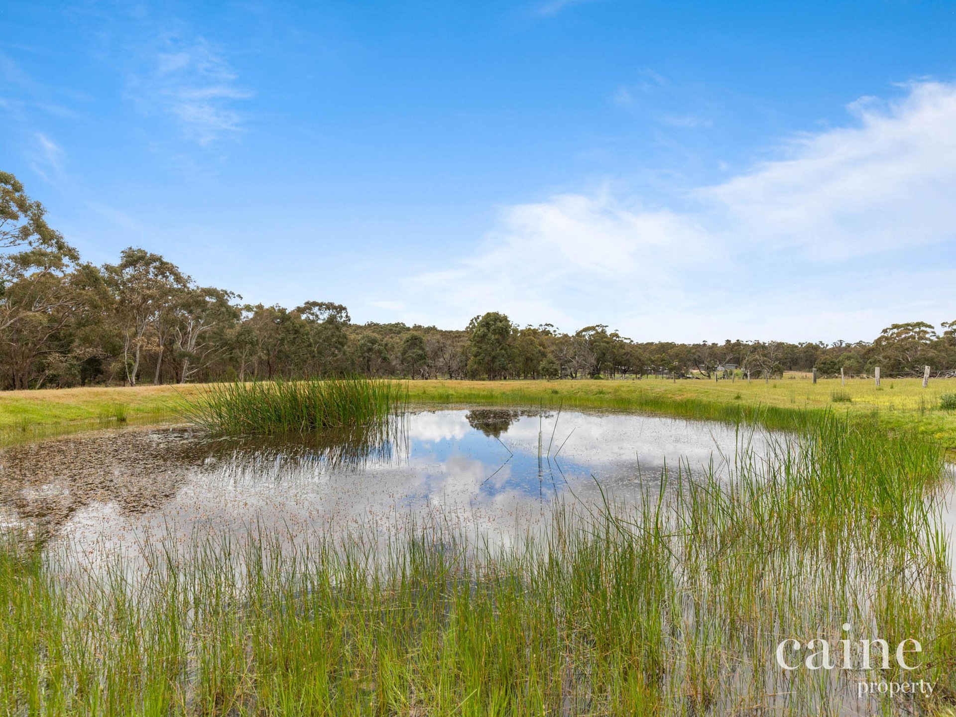 43 Bolands Lane, Smythesdale image 3