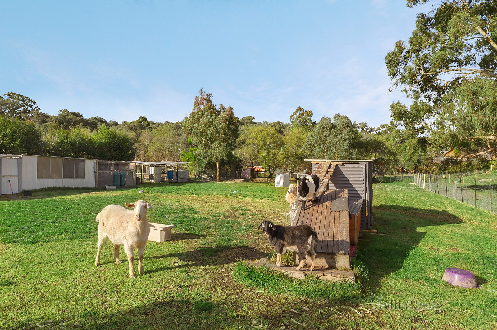 43 Browns Lane, Plenty image 10