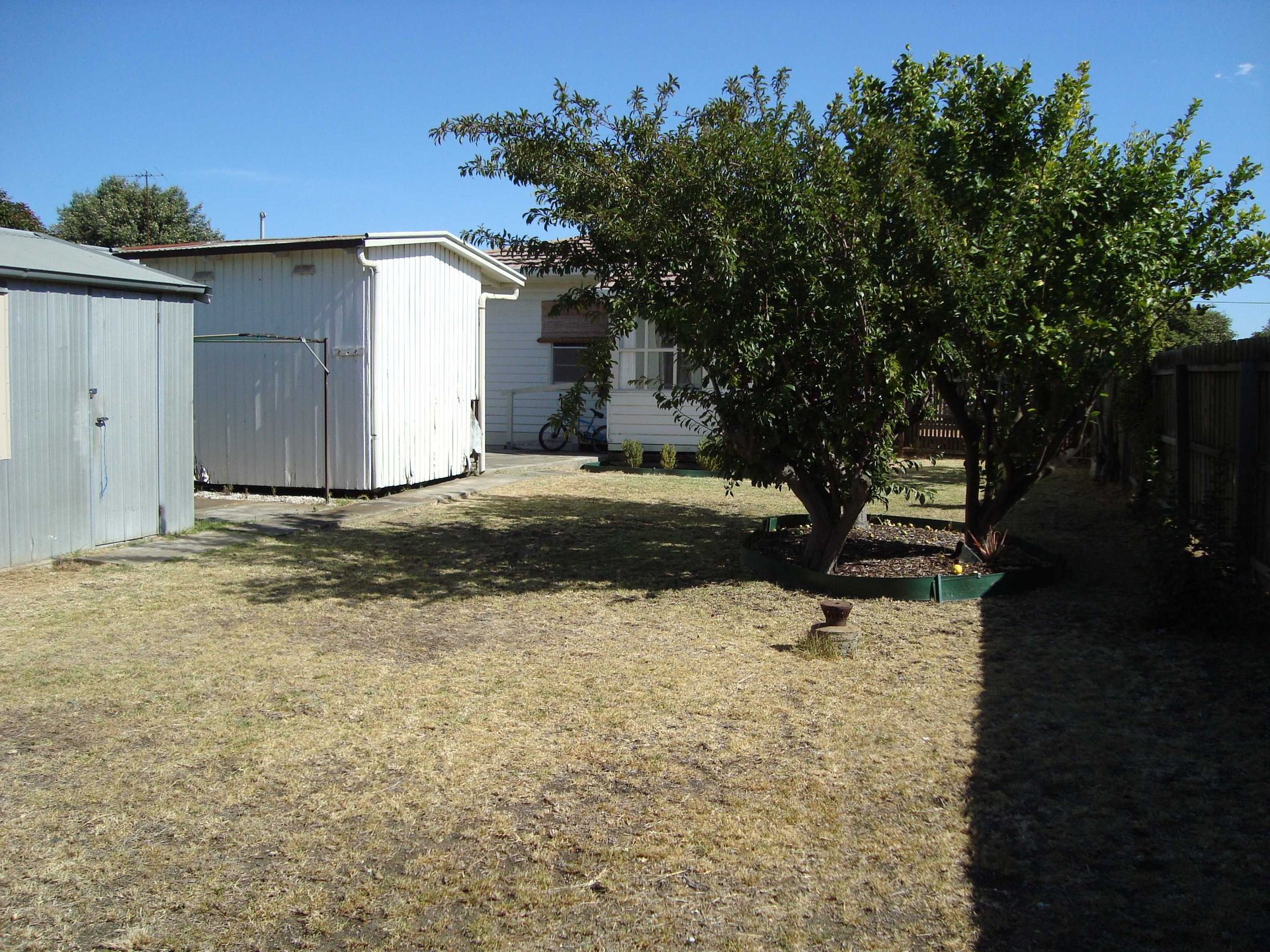 43 Donnelly Avenue, Norlane image 7