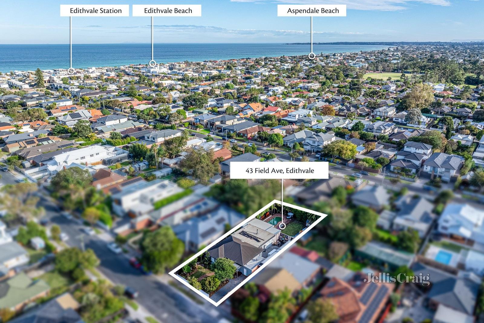 43 Field Avenue, Edithvale image 23