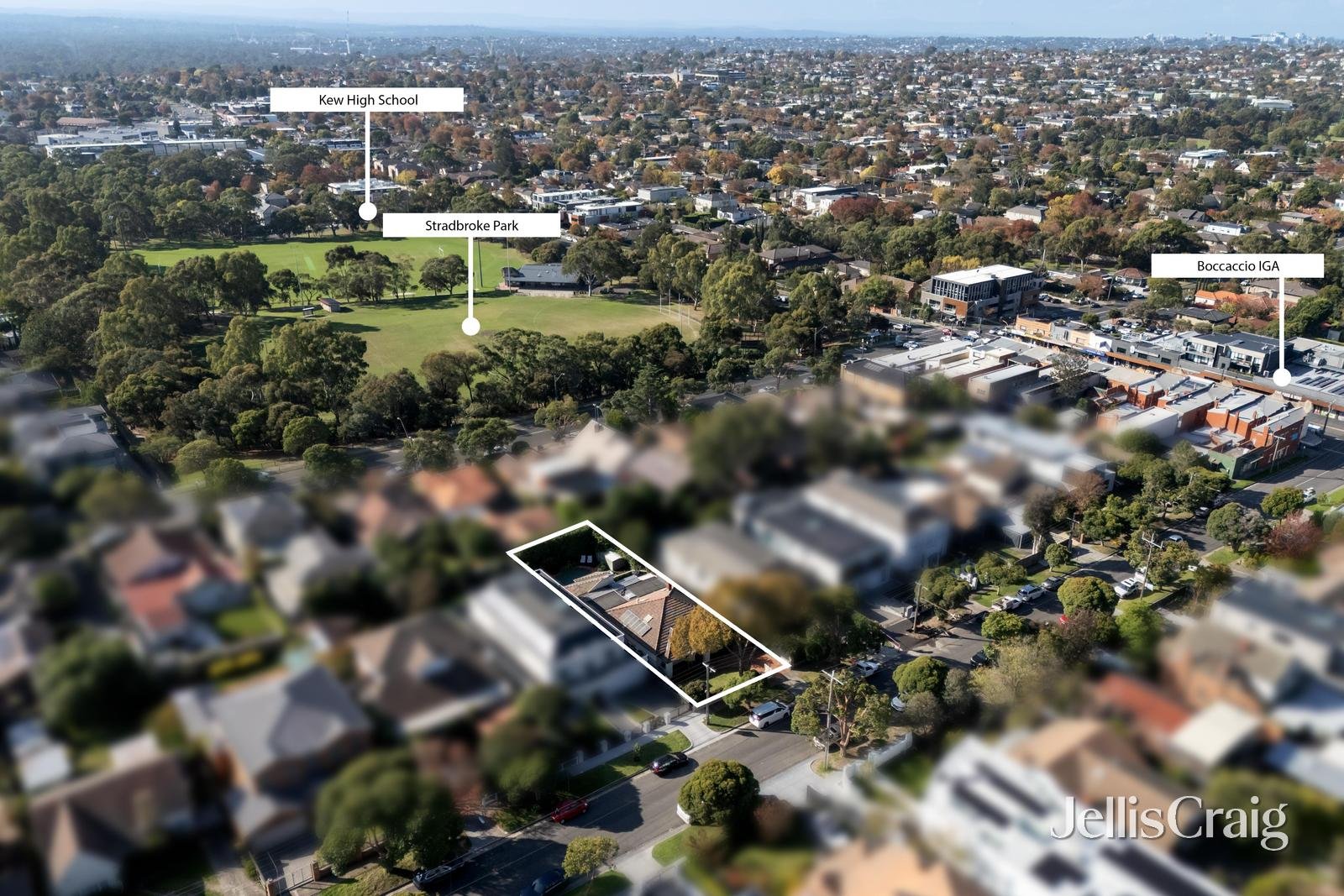 43 First Avenue, Kew image 14