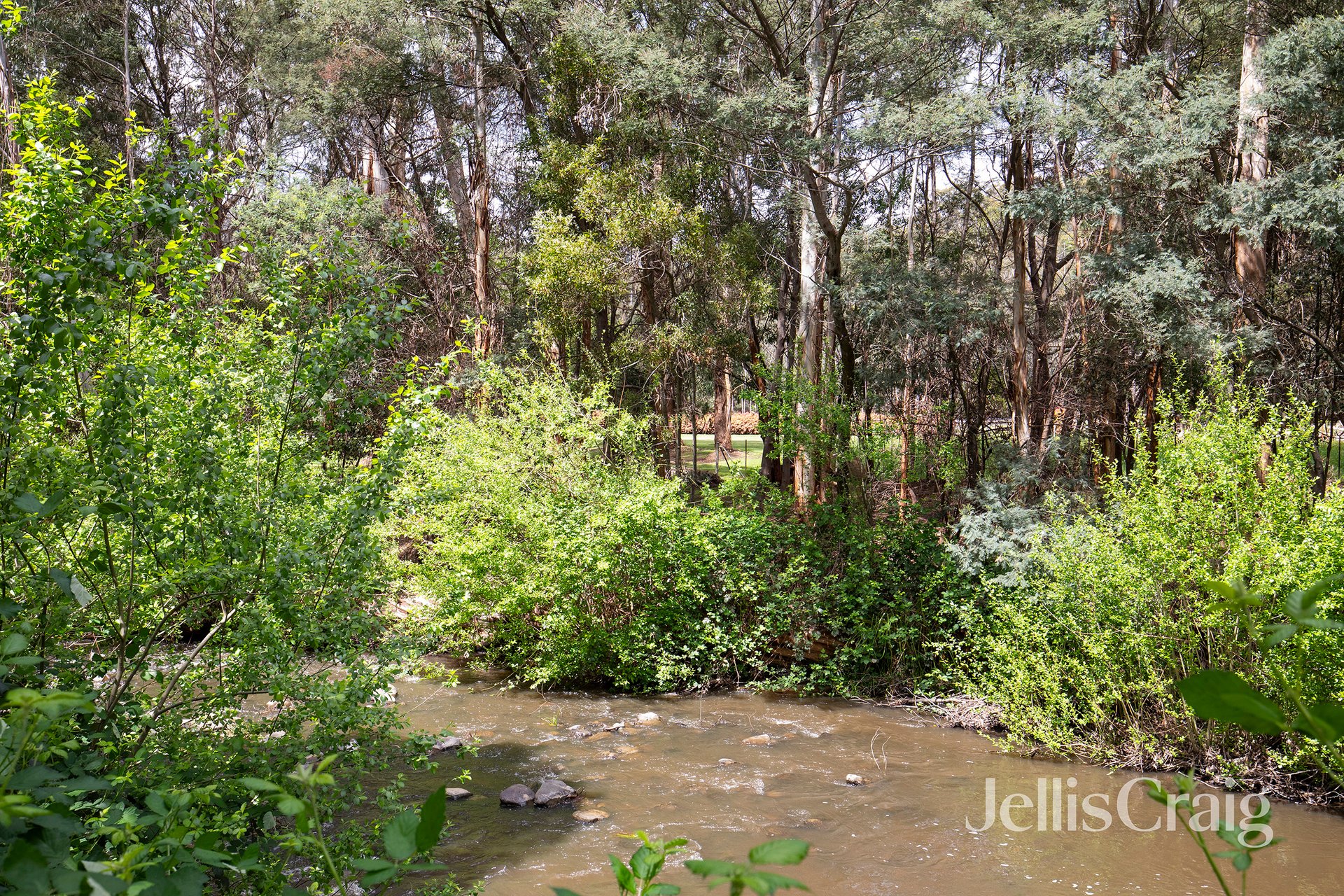 43 Forest Road, Flowerdale image 15