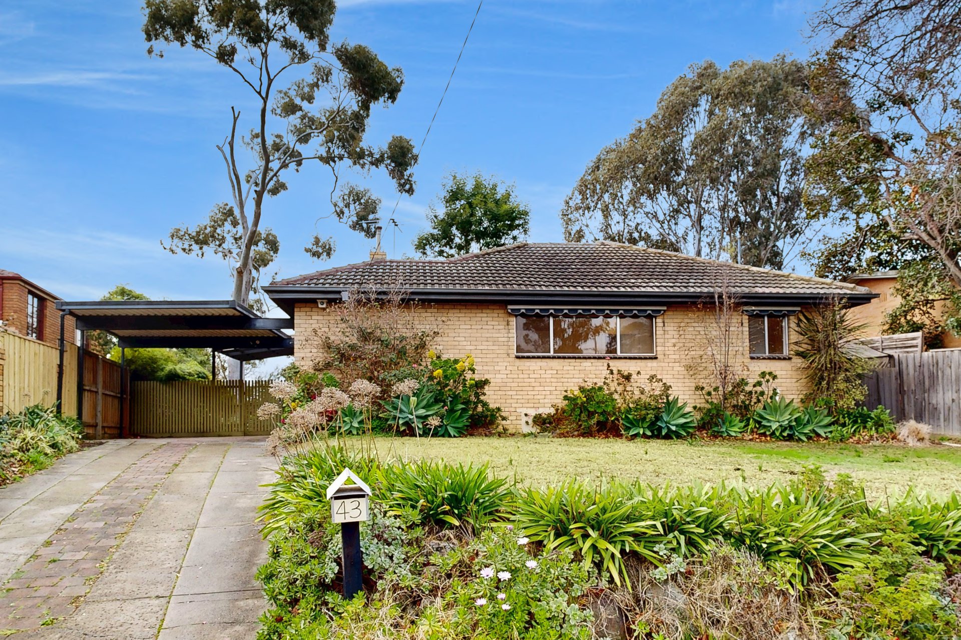 43 Gardenia Road, Balwyn North image 1