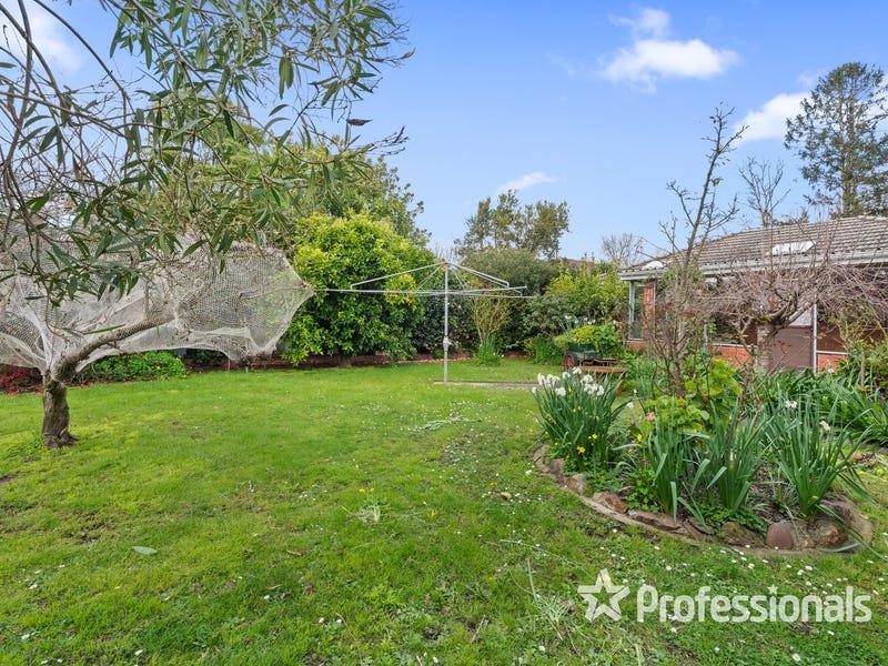 43 Hillview Drive, Kilsyth image 21