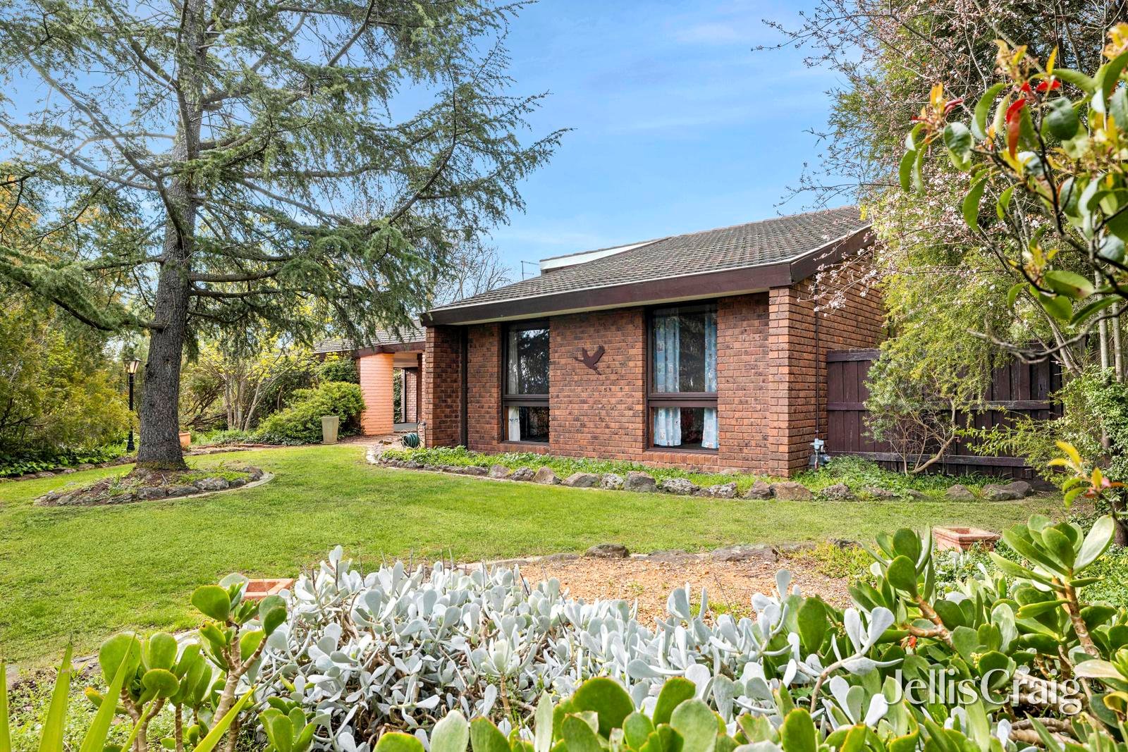 43 McGrath Street, Castlemaine image 14