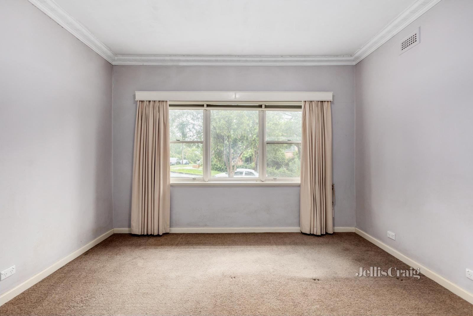 43 Outlook Drive, Camberwell image 5