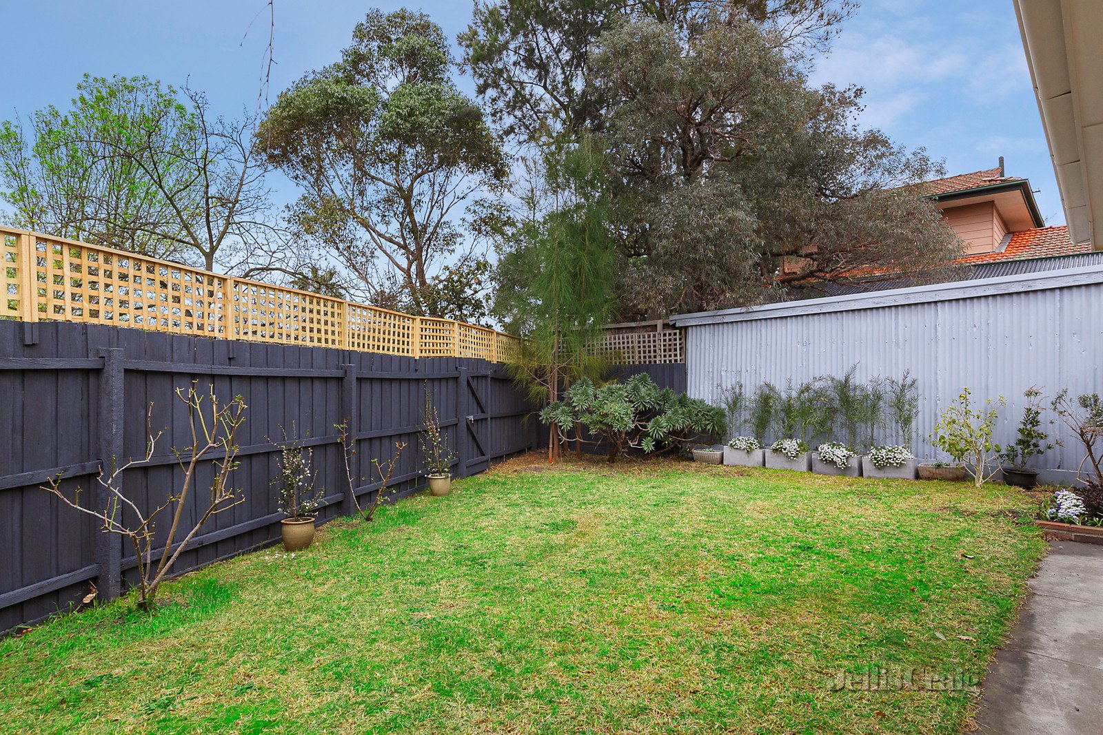 4/38 Campbell Road, Balwyn image 7