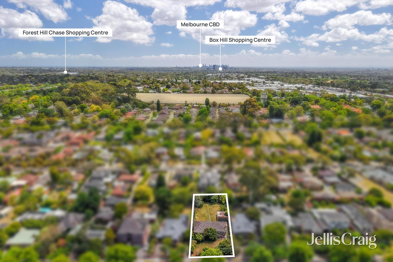 44 Creek Road, Mitcham image 8