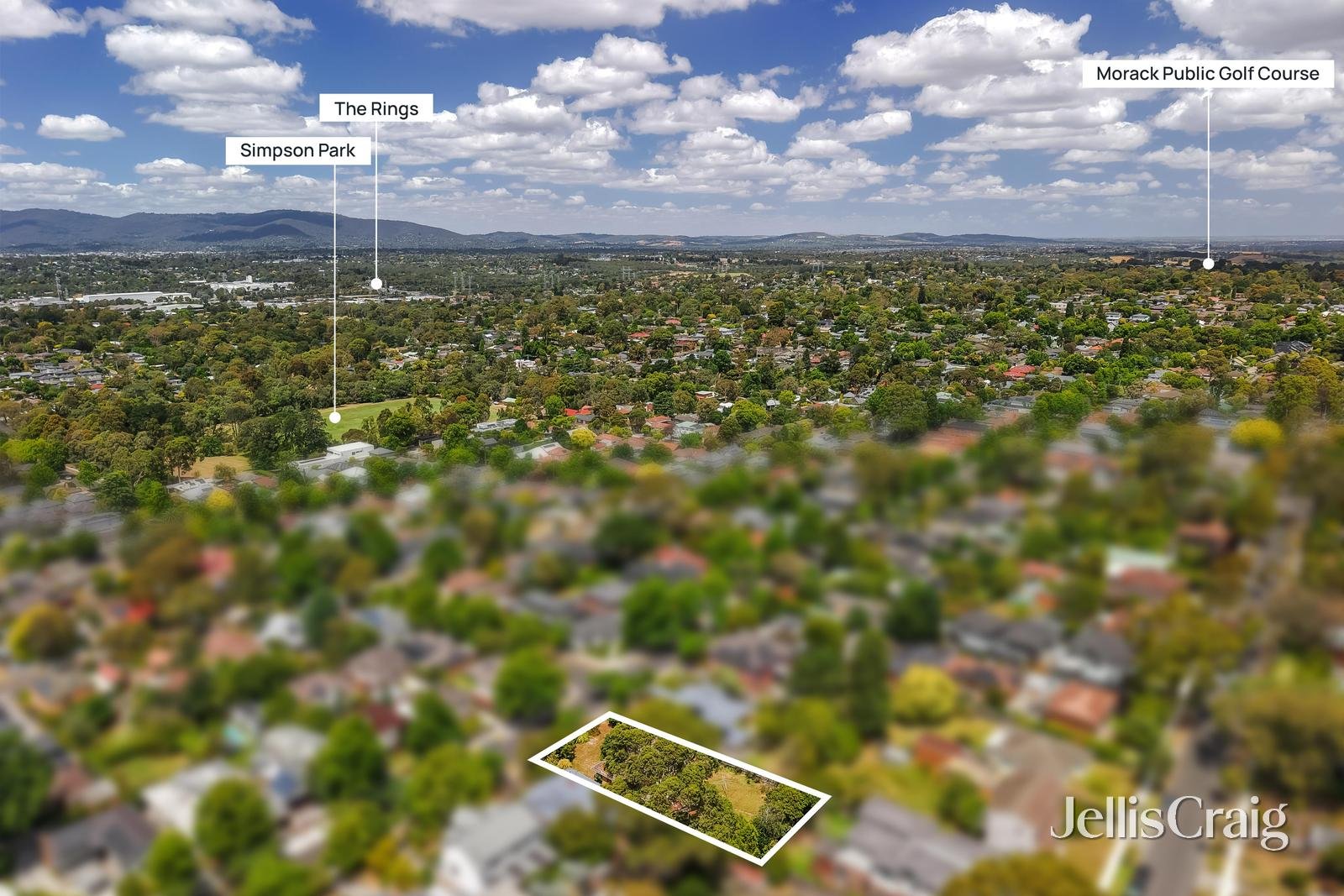 44 Creek Road, Mitcham image 9